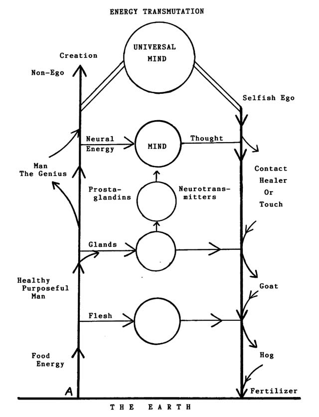 richard-rose-s-psychology-of-the-observer-the-path-to-reality-through