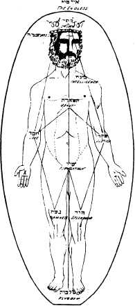 The Tree of Life (ten Sephiroth) from Christian D. Ginsburg, The Kabbalah